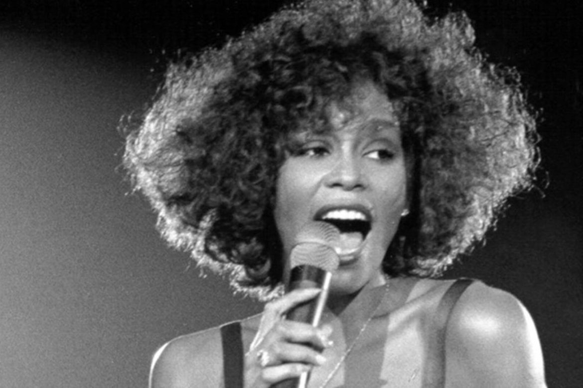Classic Whitney Houston Live from Washington, D.C. (DAR Constitution ...