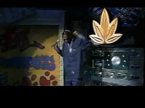 Snoop Dogg Revisits Up In Smoke Tour With Eminem, Dr. Dre & Ice Cube For  #TBT